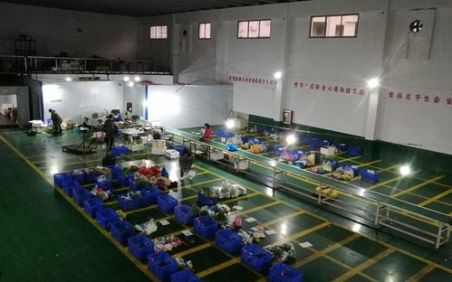 蔬菜配送公司生鲜食材管理的关键要点