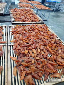 让“本道菜”更放心 重庆市石柱县市场监管局推动小作坊食品安全治理与品质提升